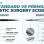 Standard vs Premium Plastic Surgery Scissors