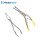 Nasal Septum Forceps