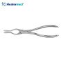 Walsham Nasal Septum Forceps – Straight