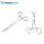Ring Forceps and Clamps