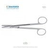 Standard Facelift Castanares Scissors