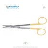 TC (Tungsten carbide) Facelift Castanares Scissors