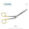 TC (Tungsten carbide) Knight Nasal Scissors Rhinoplasty