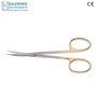 Stevens Scissor straight 11.5 TC Tip
